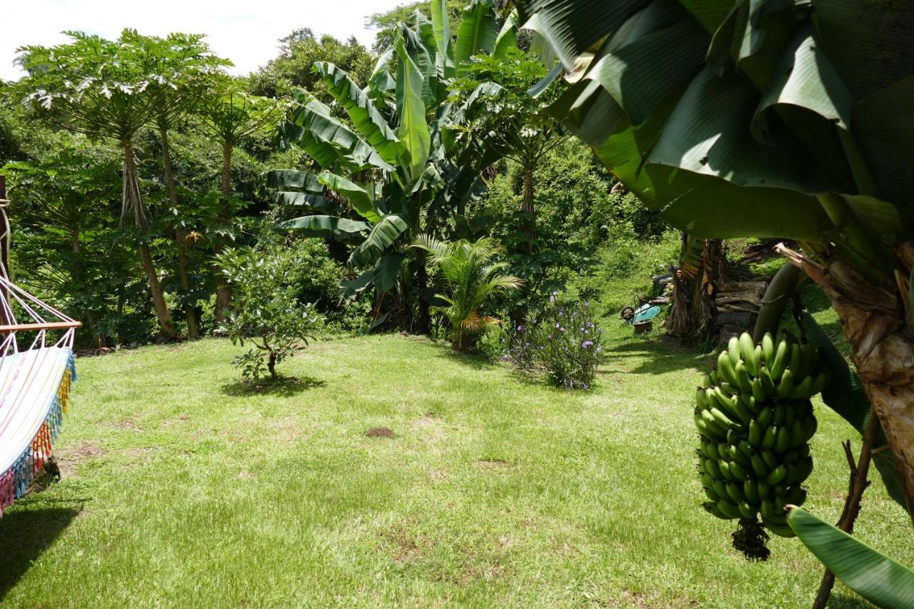 Sanlaz Lodge *